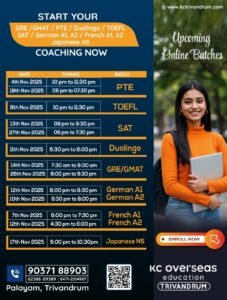 study abroad consultancy